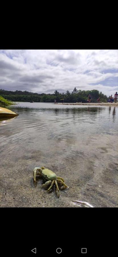 Hostal Estrellas Del Tayrona Playa Mendihuaca Guachaca Eksteriør billede